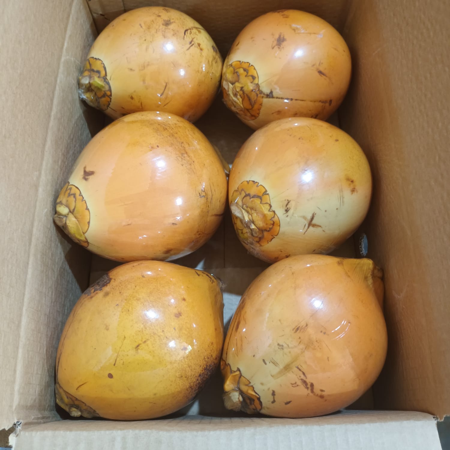 King Coconut
