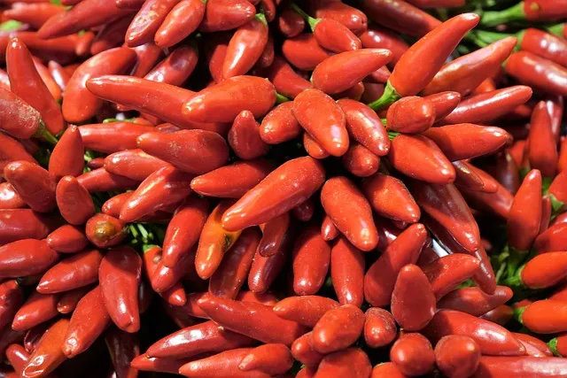 Paprika